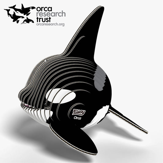 Maquette 3D EUGY 020 Orque – vue 2