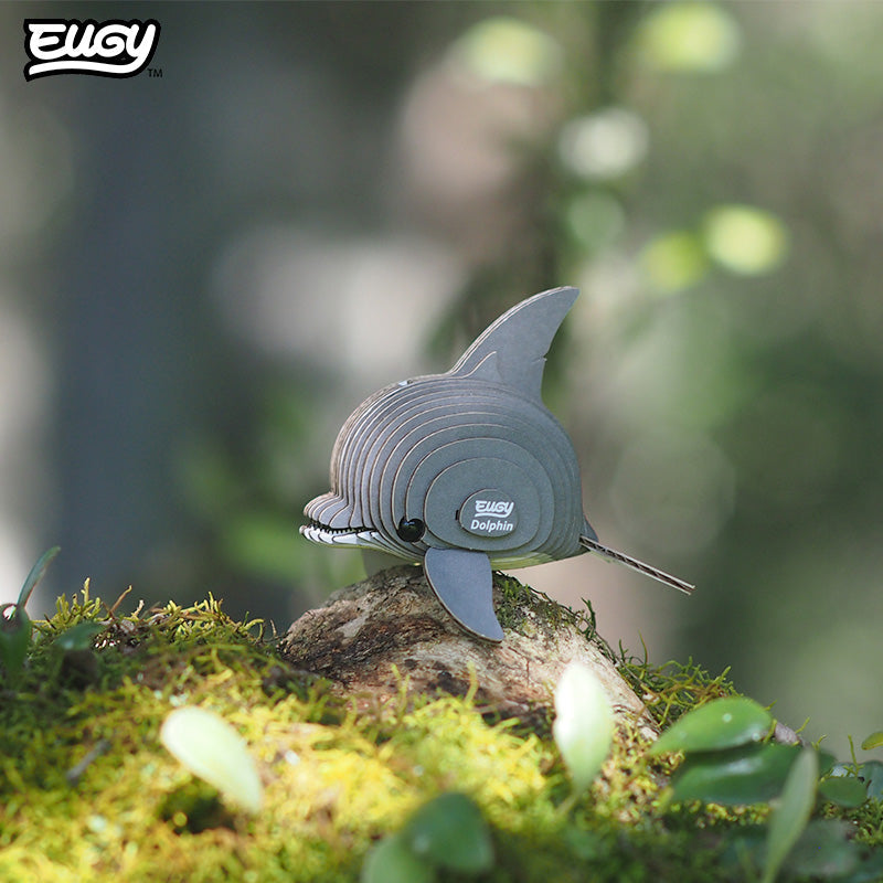 Maquette 3D EUGY 021 Dauphin – mise en scène
