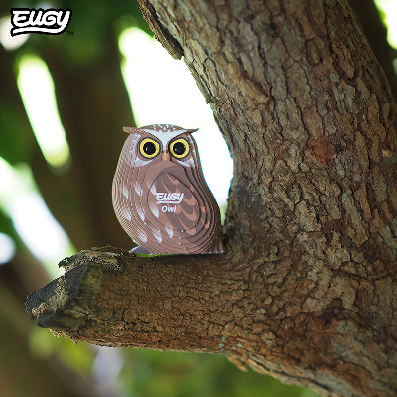 Maquette 3D EUGY 044 Hibou – mise en scène – photographie 2