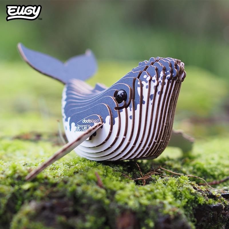 Maquette 3D EUGY 051 Baleine à bosse – mise en scène