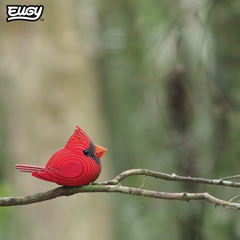 Maquette 3D EUGY 068 Cardinal – mise en scène