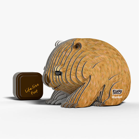 Maquette 3D EUGY 078 Wombat – vue 2