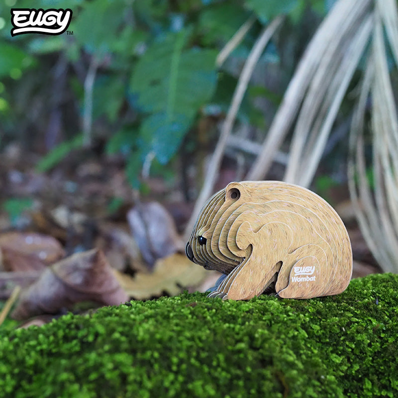 Maquette 3D EUGY 078 Wombat – mise en scène