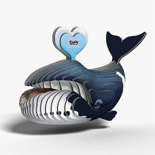 Maquette 3D EUGY 084 Baleine boréale – vue 2