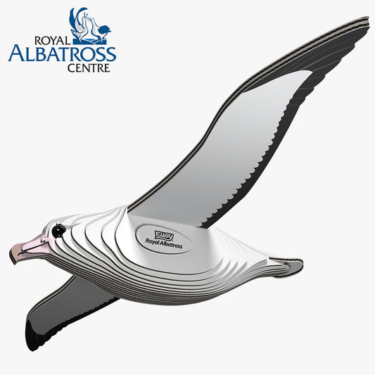 Maquette 3D EUGY 097 Albatros royal – vue 2