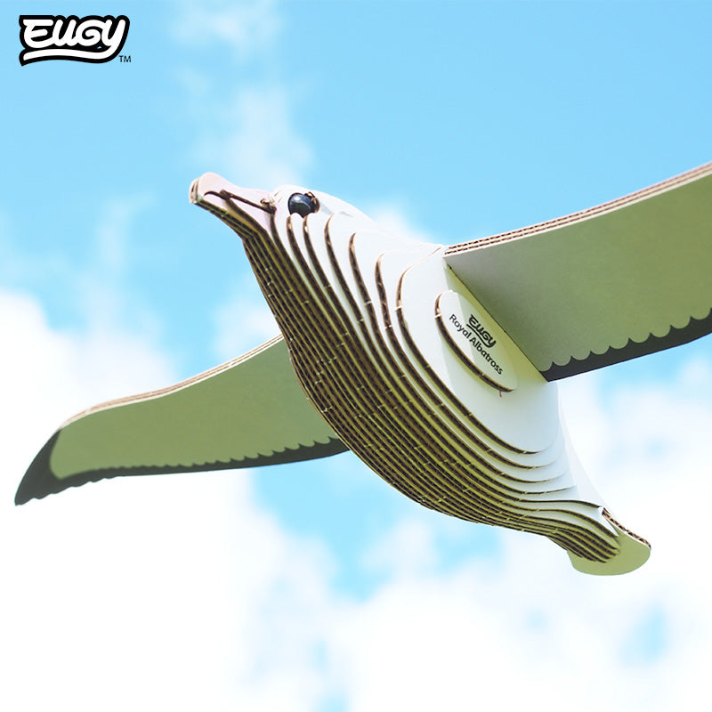 Maquette 3D EUGY 097 Albatros royal – mise en scène – photographie 2