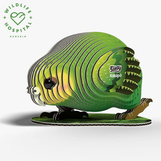 Maquette 3D EUGY 099 Kakapo – vue 2