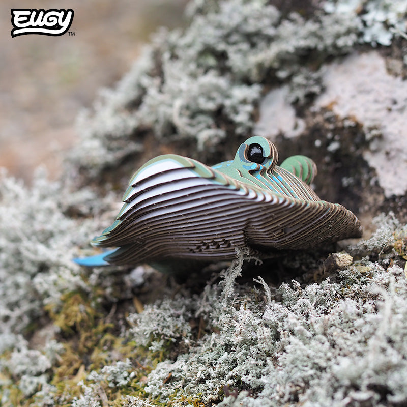 Maquette 3D EUGY 102 Raie – mise en scène