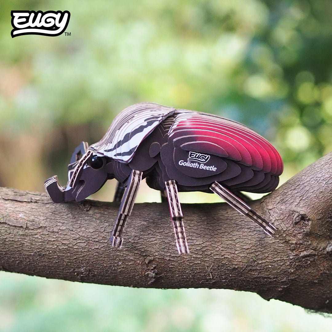 Maquette 3D EUGY 111 Coléoptère Goliath – mise en scène