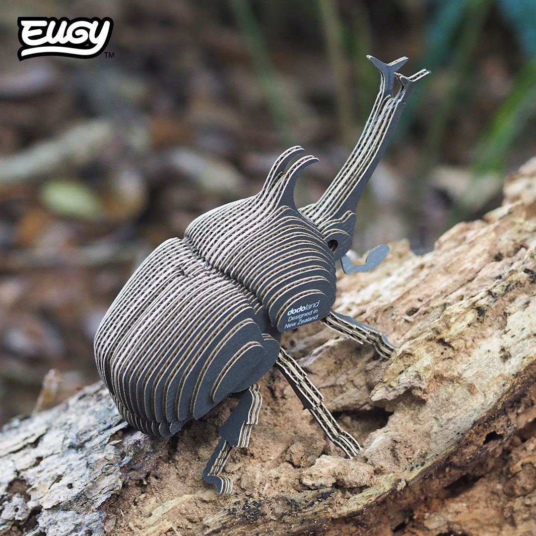 Maquette 3D EUGY 113 Scarabée rhinocéros – mise en scène