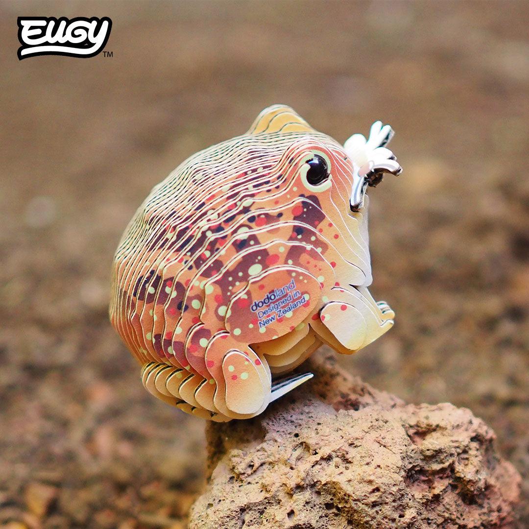 Maquette 3D EUGY 117 Crapaud du désert – mise en scène – photographie 2
