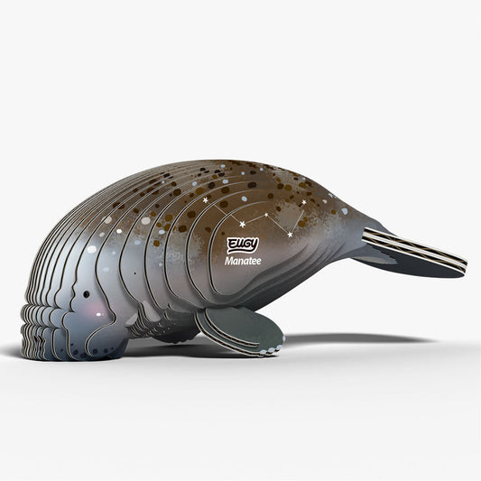 Maquette 3D EUGY 122 Lamantin – vue 2