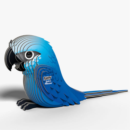 Maquette 3D EUGY 123 Ara de Spix – vue 2