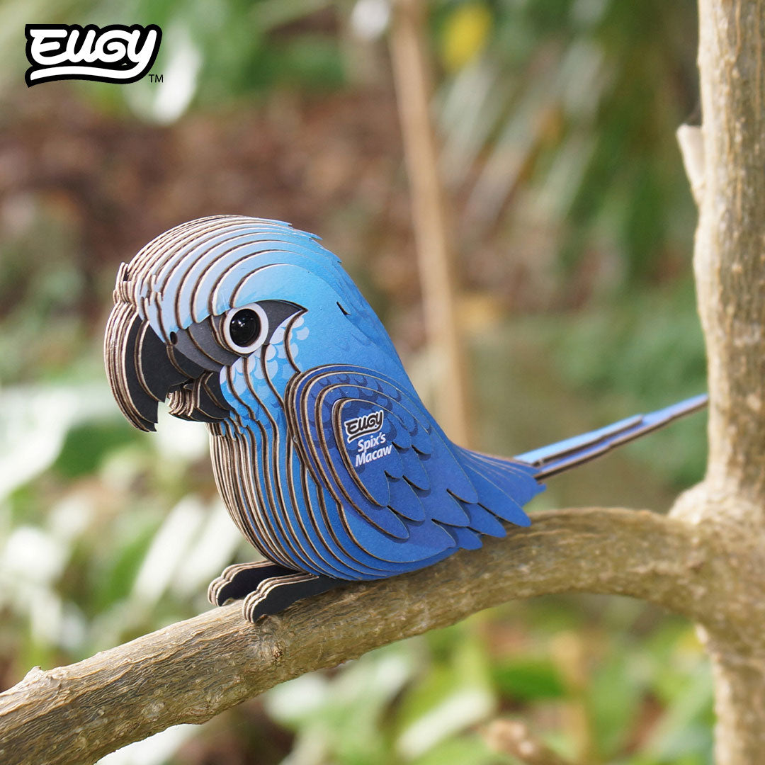 Maquette 3D EUGY 123 Ara de Spix – mise en scène – photographie 2