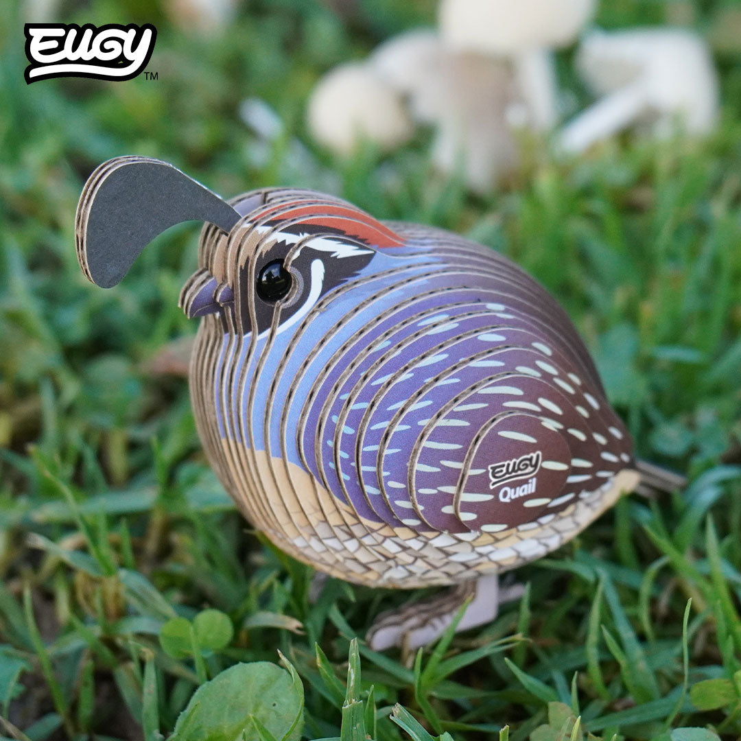 Maquette 3D EUGY 129 Caille – mise en scène – photographie 2