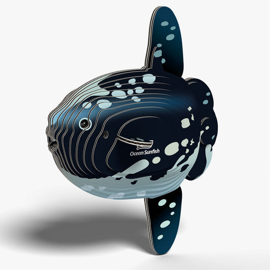 Maquette 3D EUGY 132 Poisson-lune – vue 2