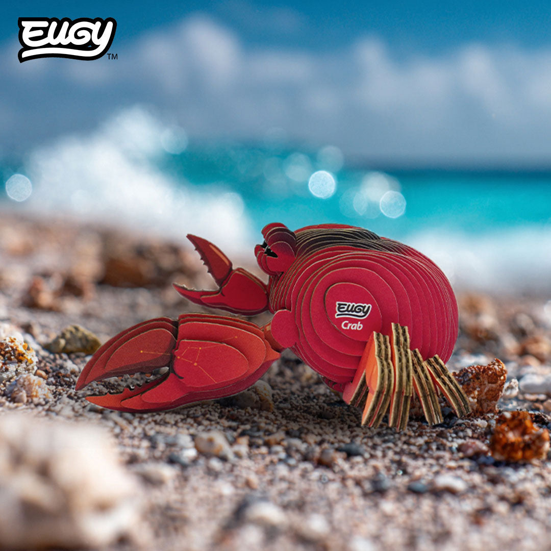 Maquette 3D EUGY 144 Crabe – mise en scène