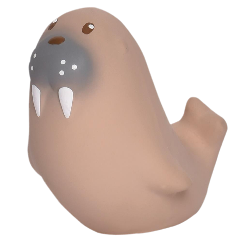 My first arctic animal lion