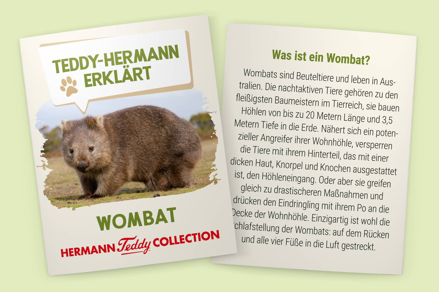 Wombat-Plüschtier