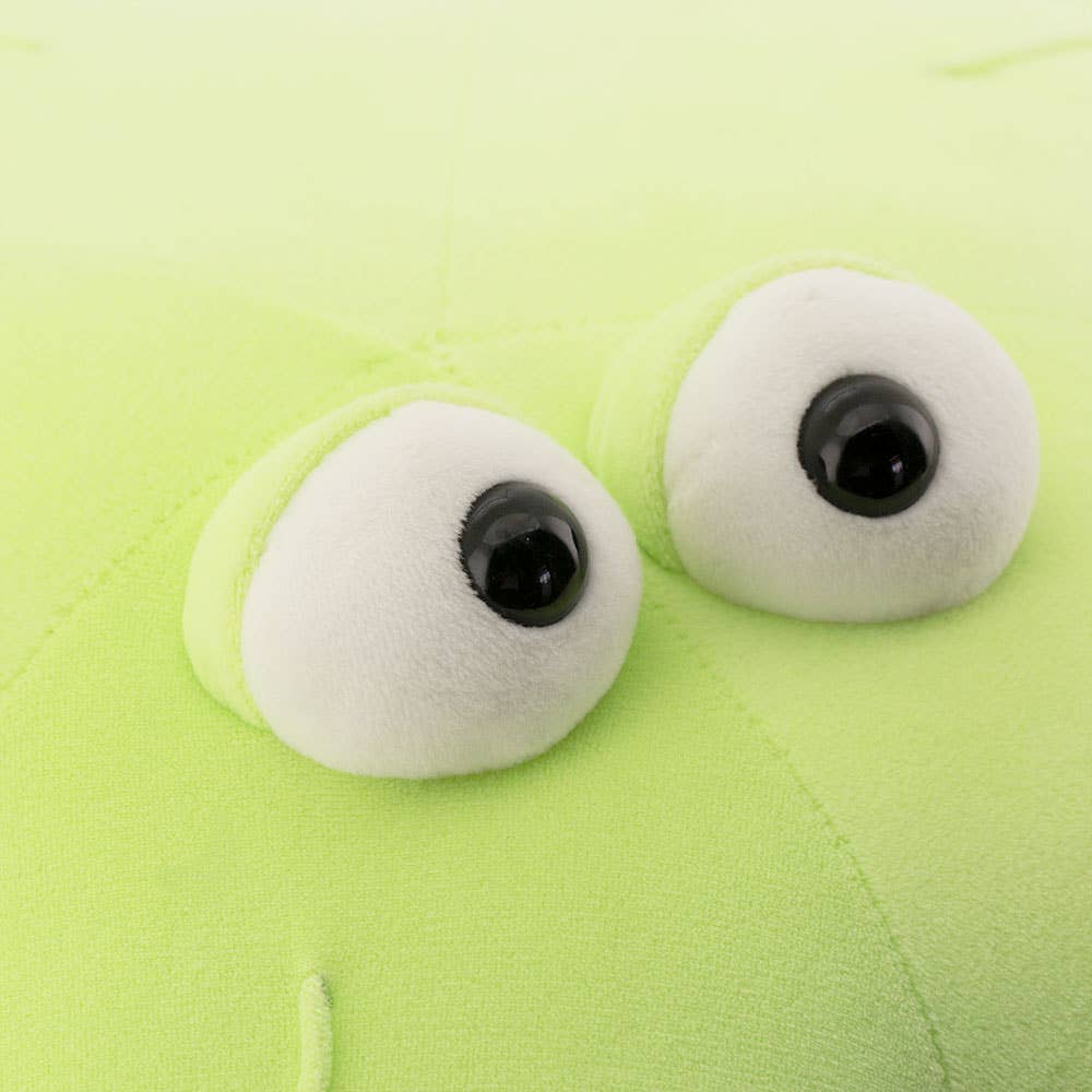 Hellgrüner Plüschseestern – 80 cm – ab 0 Monaten