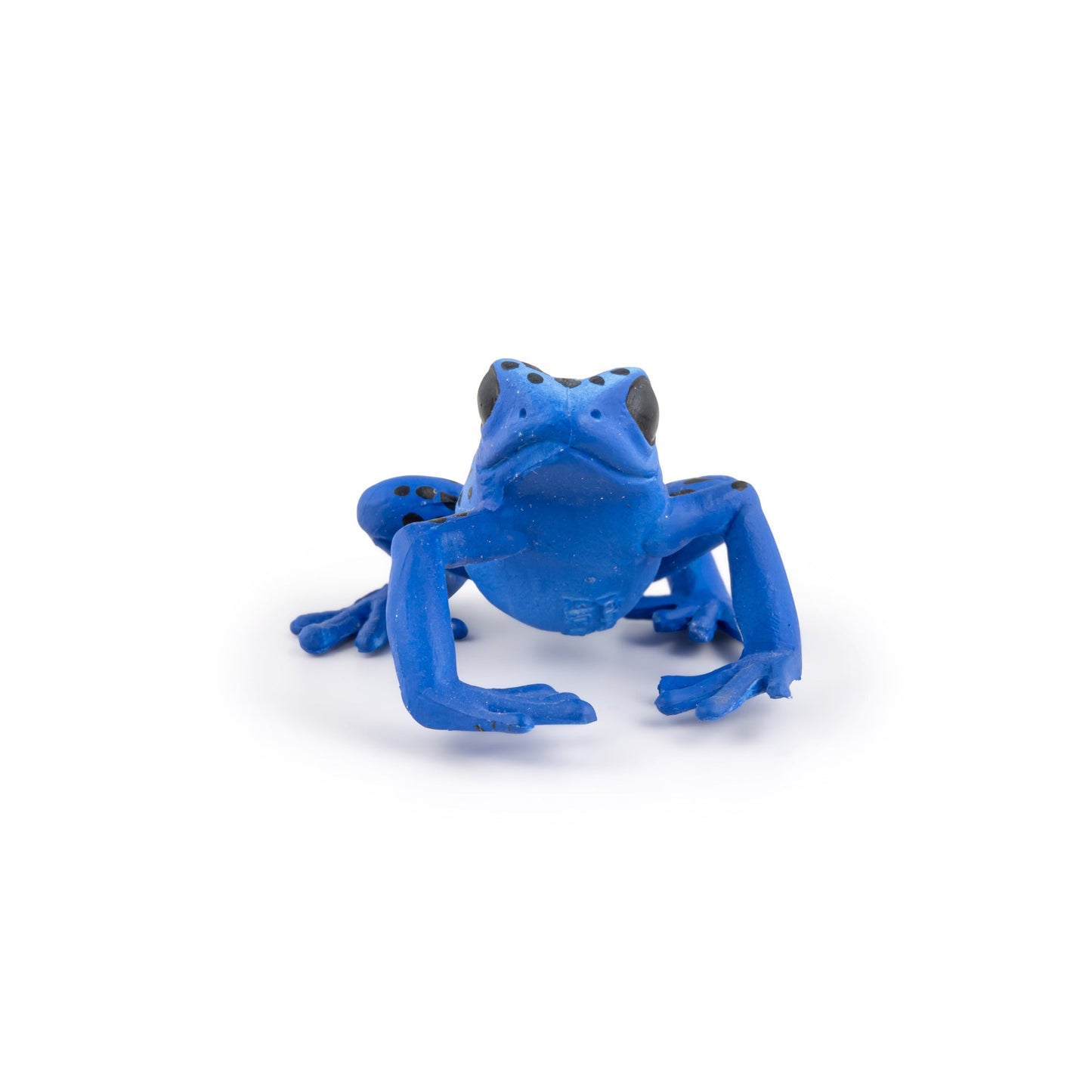 Figurine Grenouille équatoriale bleue Papo - animal sauvage