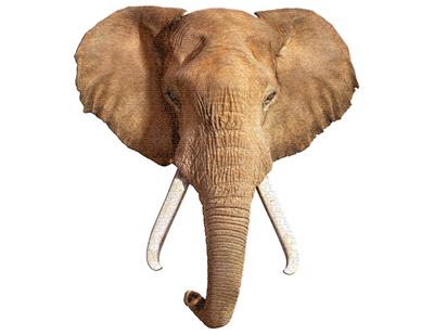 Puzzle I AM Éléphant 700 pièces Madd Capp