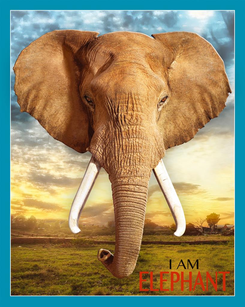 Puzzle I AM Éléphant 700 pièces - Madd Capp