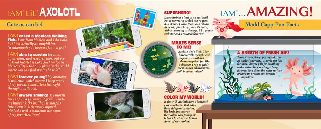 Puzzle Axolotl 100 pièces - emballage Madd Capp