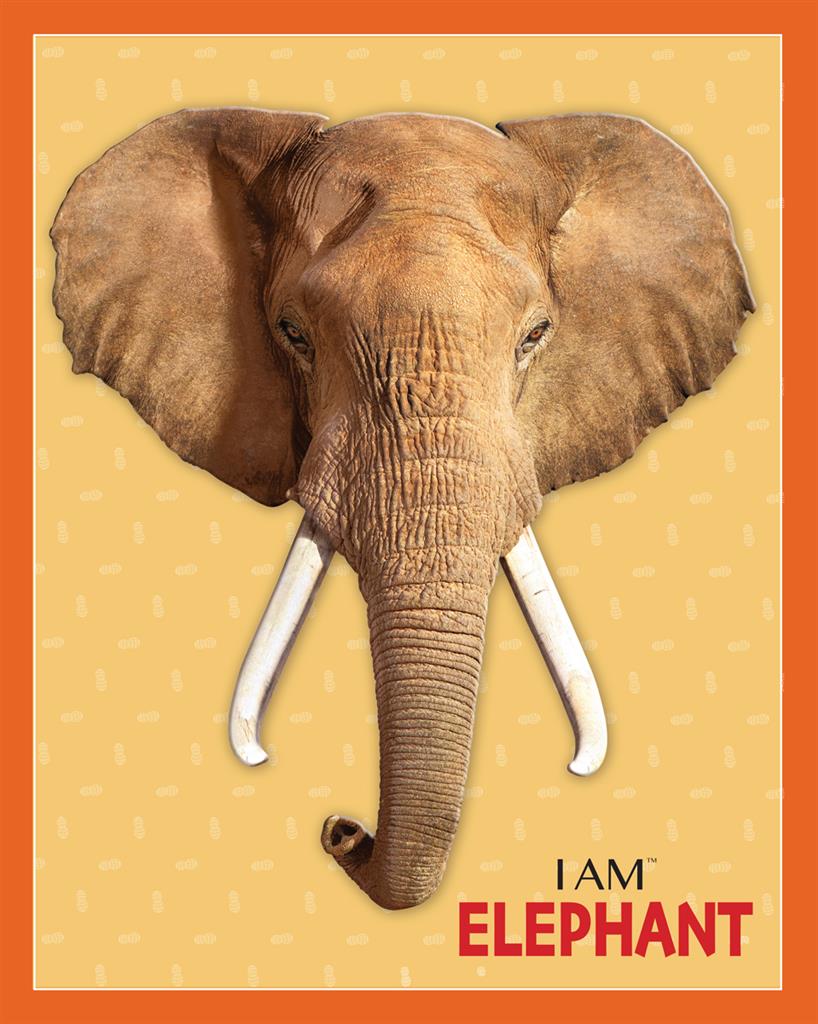 Puzzle animal Éléphant 24 pièces Madd Capp