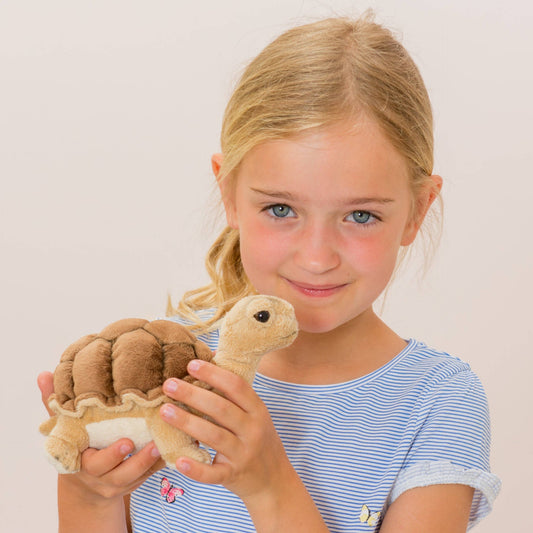 Peluche Tortue