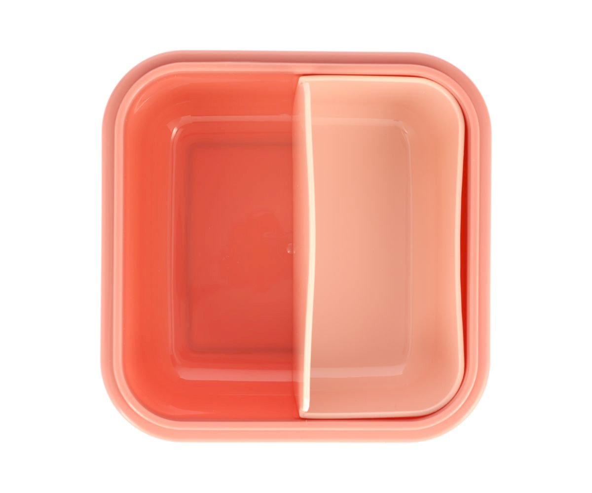 Große Wild Fairies Lunchbox