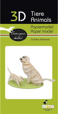 3D Paper Model - Golden Retriever