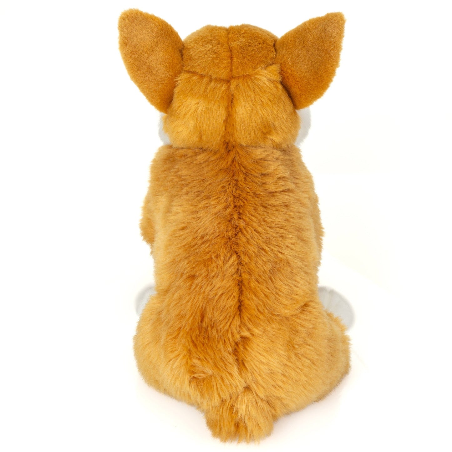 Peluche Corgi