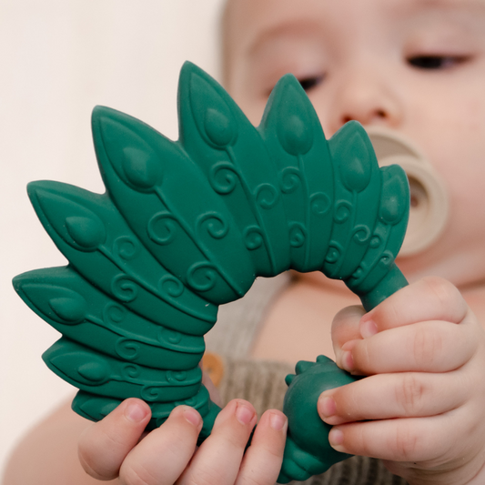 Anneau de dentition Paon Vert - Natruba