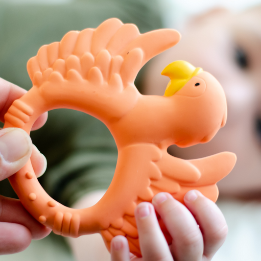 Orange Papagei Beißring