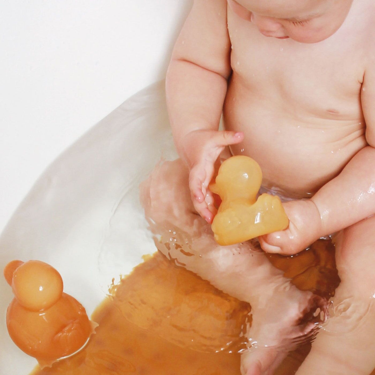 Canard Alfie – visuel produit