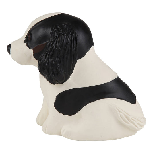 Welpenparade, Cavalier King Charles