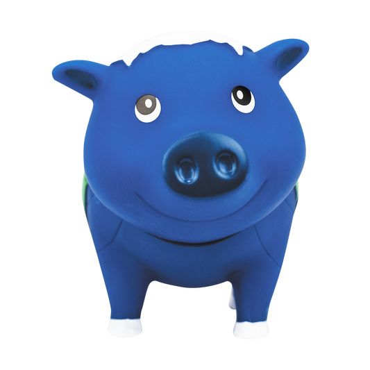 Cochon Globe Terrestre - vue 2