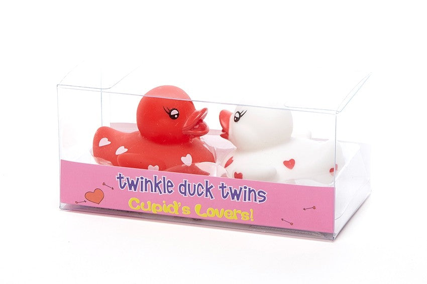 Couple de Canards Amoureux – visuel produit