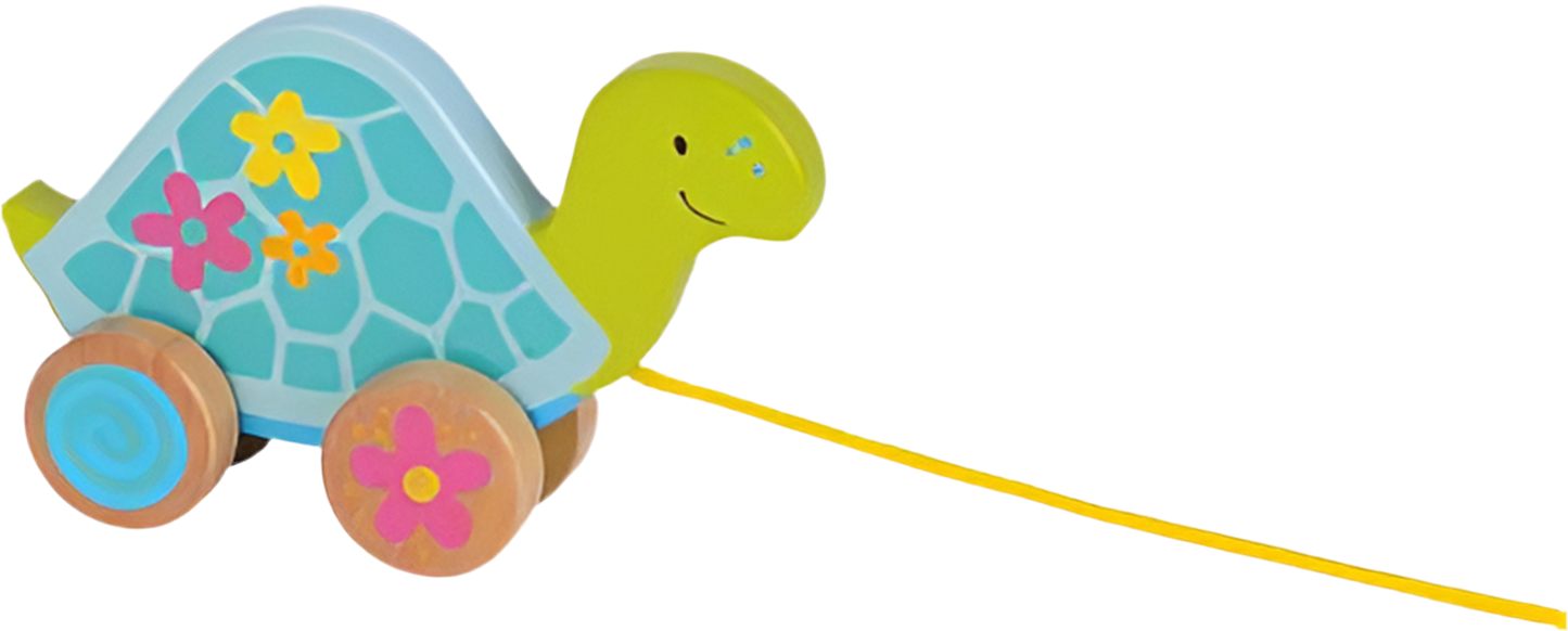 Ziehtier - Schildkröte