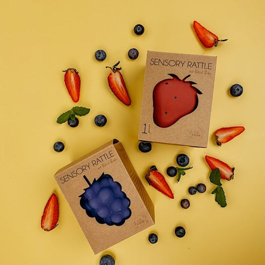 Sensorisches Spielzeug von Fruchtwachen