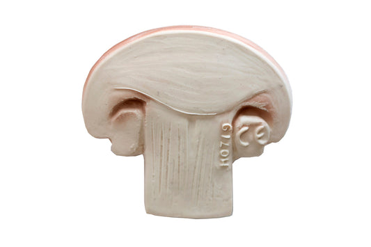 Produit Manolo Le Champignon Collection