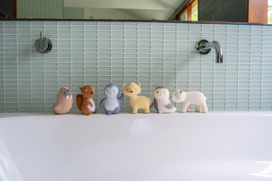 Ours Blanc Arctique, vue 2 – Tikiri