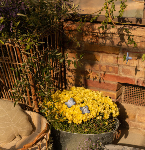 Produit Blues Le Papillon Poster Déco