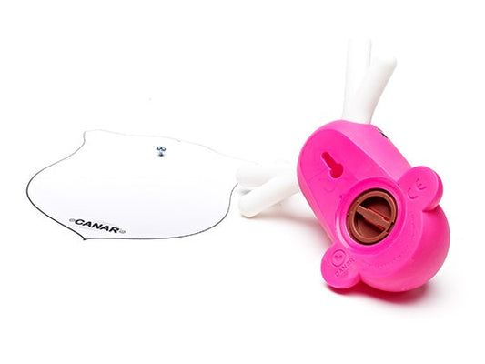 Wandsparschwein mit rosa Ente