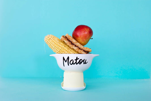 bol breton matou pied de poule