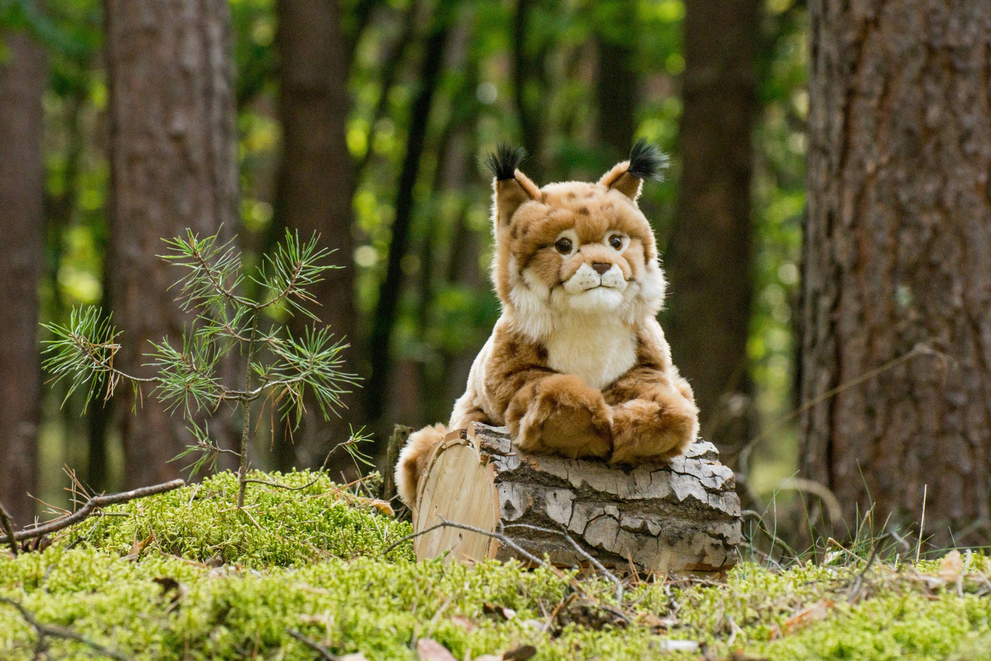 Lying Lynx Plush Toy