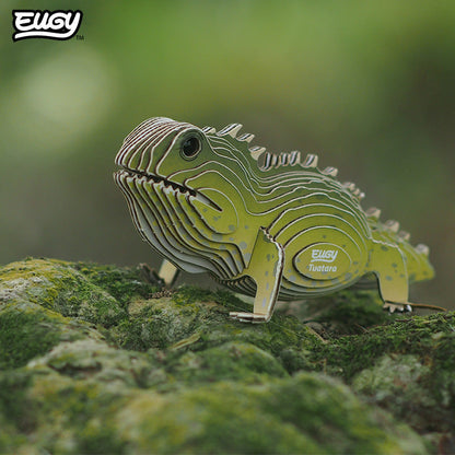 004 Tuatara