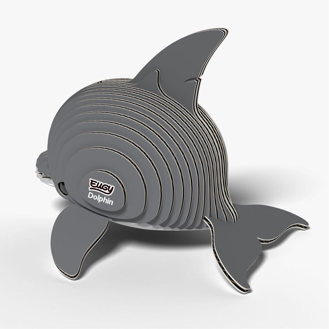 021 Dolphin