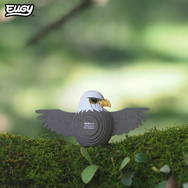 022 Bald Eagle